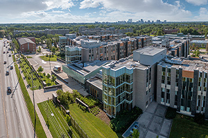 Staff working on computers