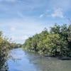 Thames River