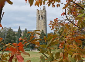 Western Tower
