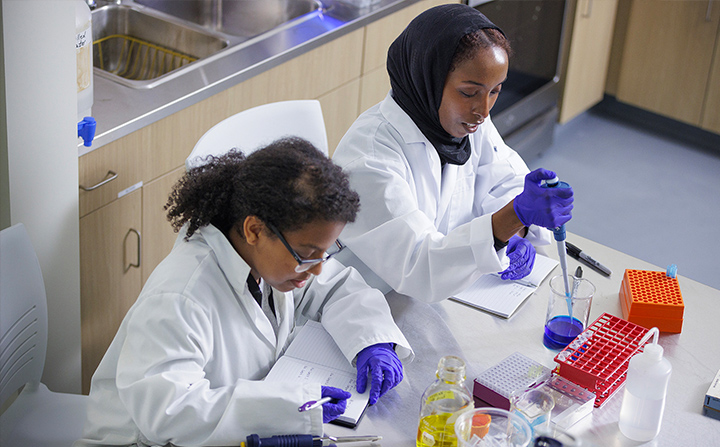 Students working in a food lab