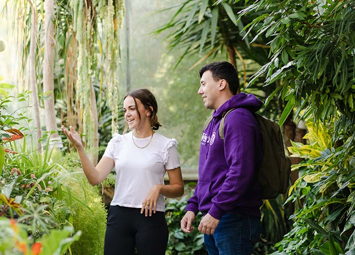 Two people looking at a garden