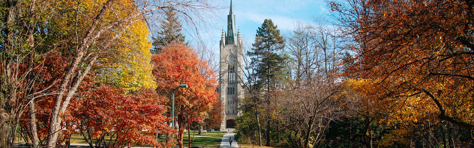Fall photo of Middlesex College
