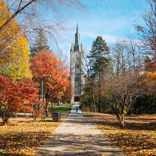 Fall photo of Middlesex College