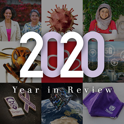 a year in review collage of stories