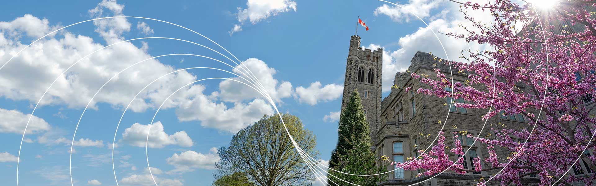 Photo of UCC tower with pink blossoms on a tree in the right bottom corner. White wavy lines across the photo.