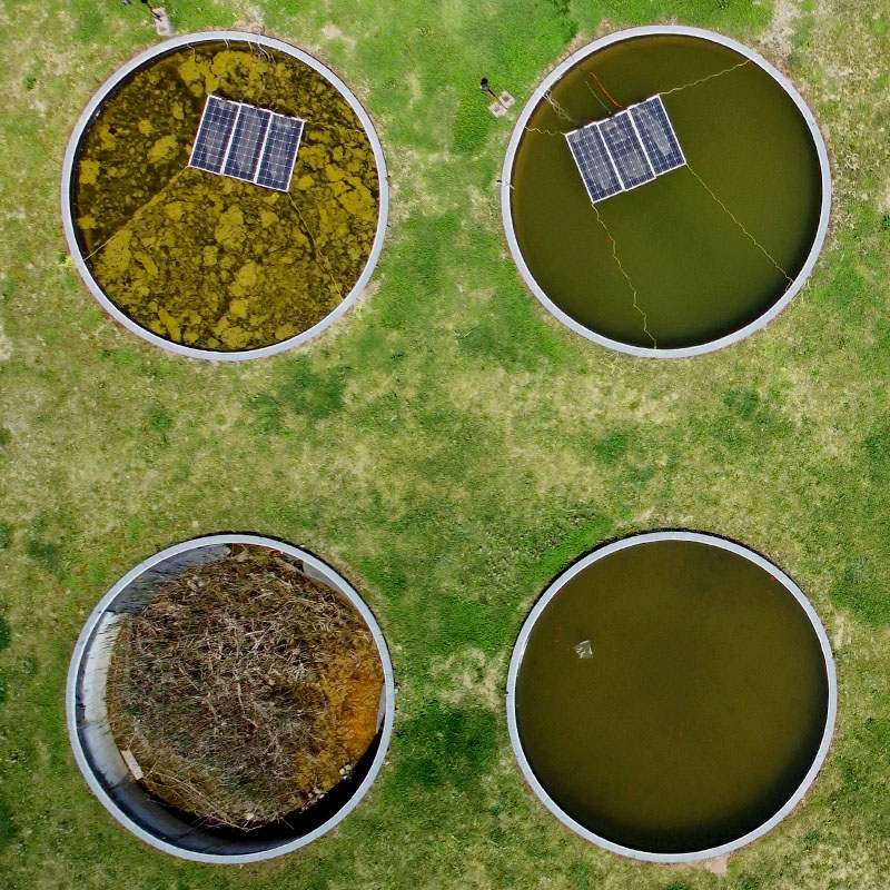 Video compilation of hydroponic plants, bees and solar panels
