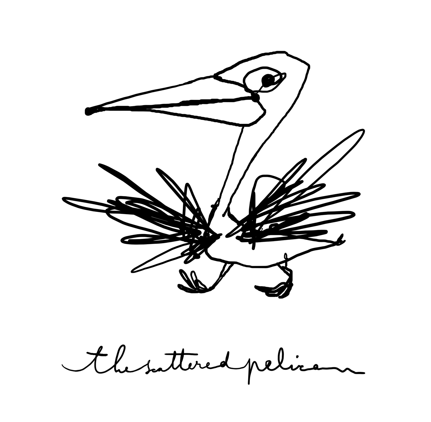 scattered_pelican