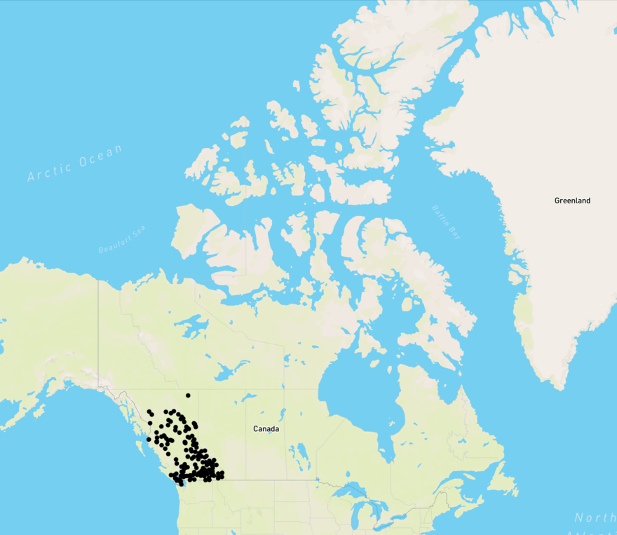 BC-ENV.png
