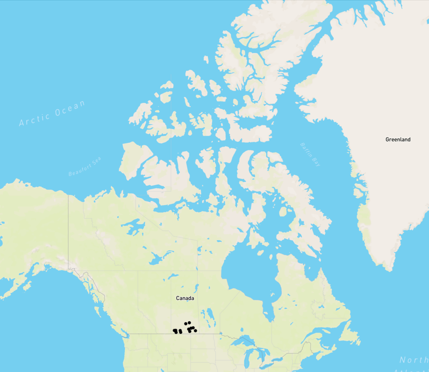 SK-SPSA-WSA.png
