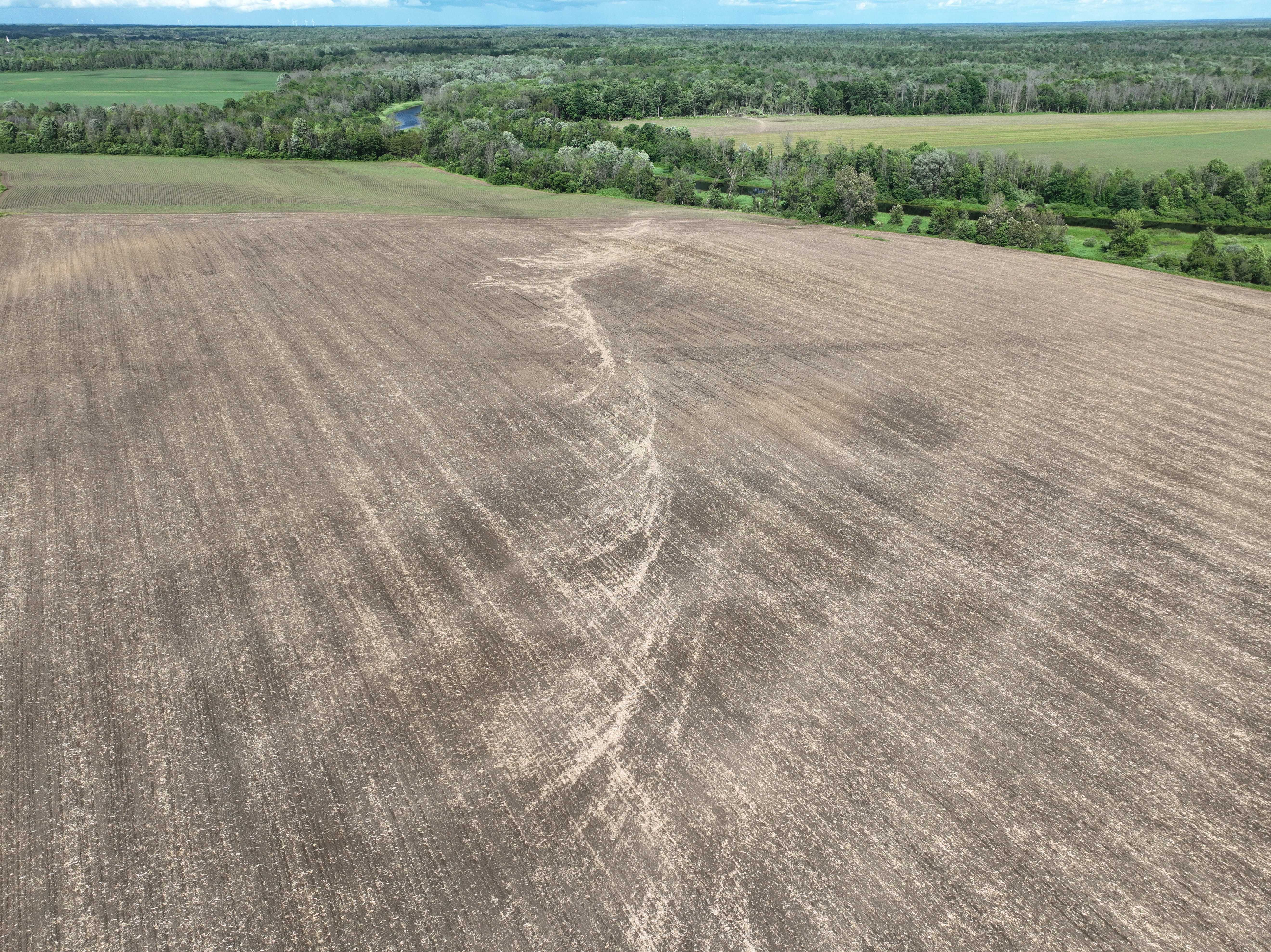 6Jun2024_SpencervilleEF0Tor_FieldScouring.png