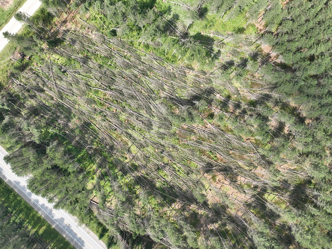 Damage photo