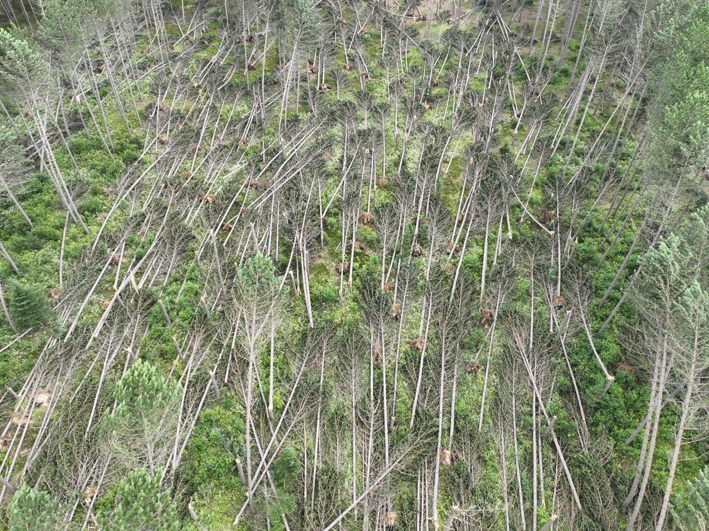 Damage photo