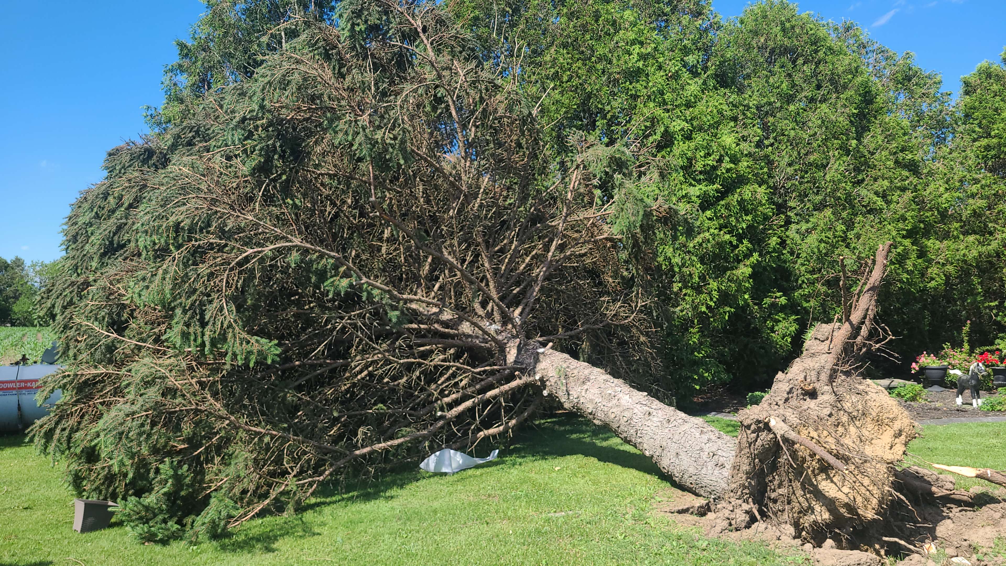 Damage photo