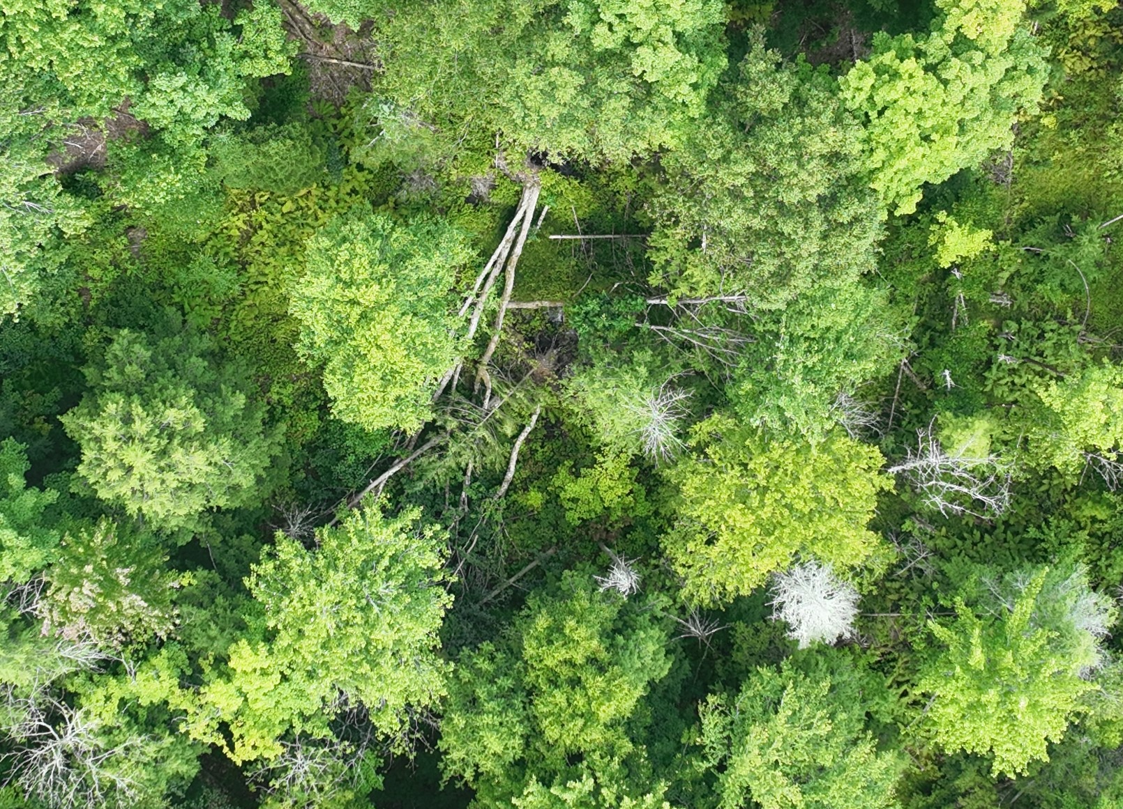 DawsonLakefieldDroneDmg.JPG