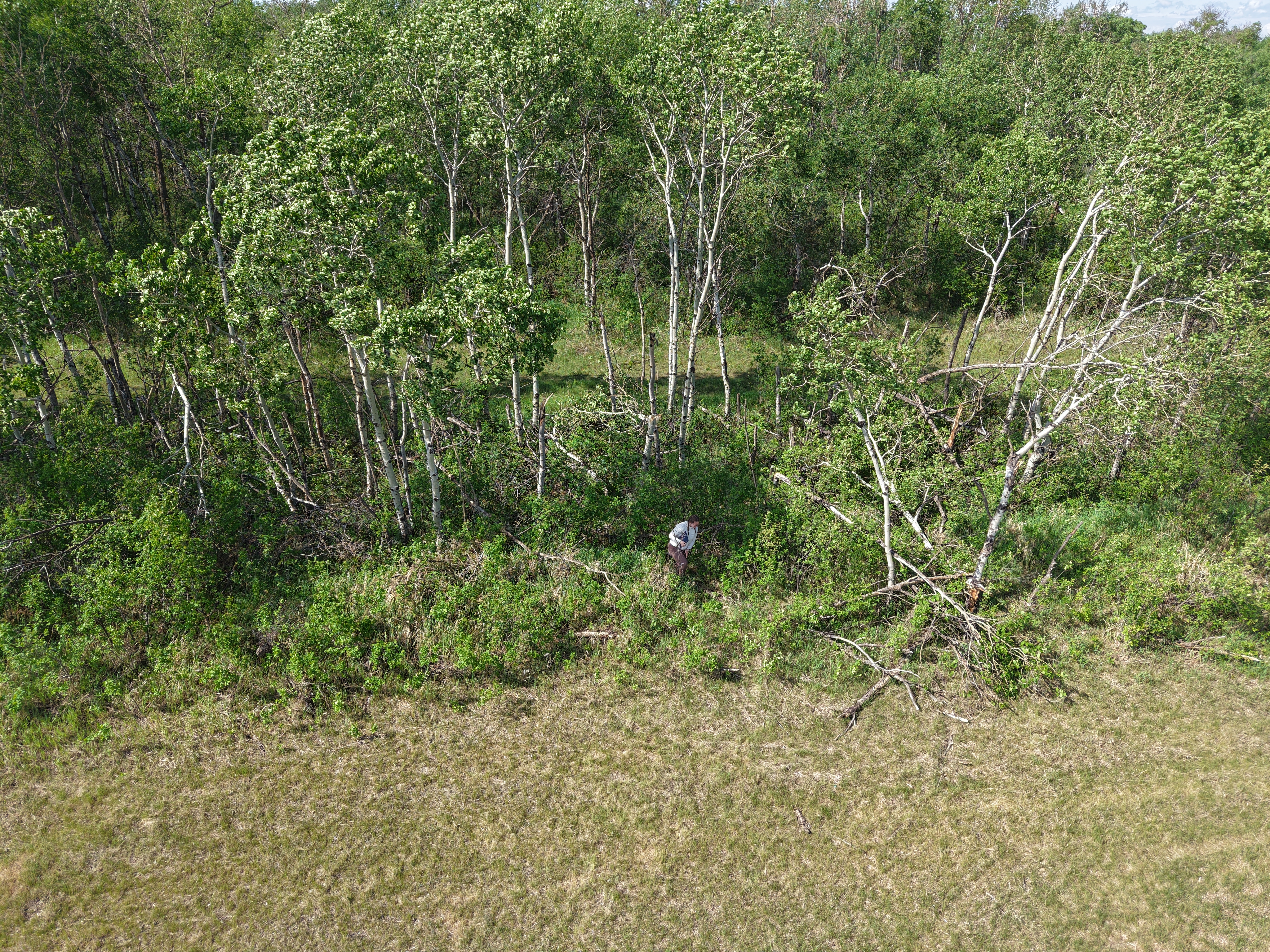 Damage photo