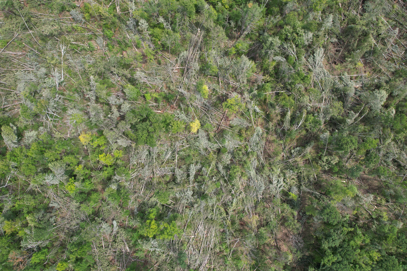DroneImage_Rockland.png