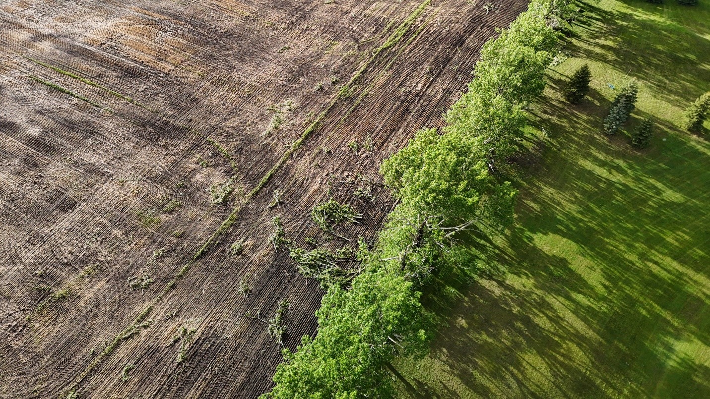 Edberg3_field.jpg