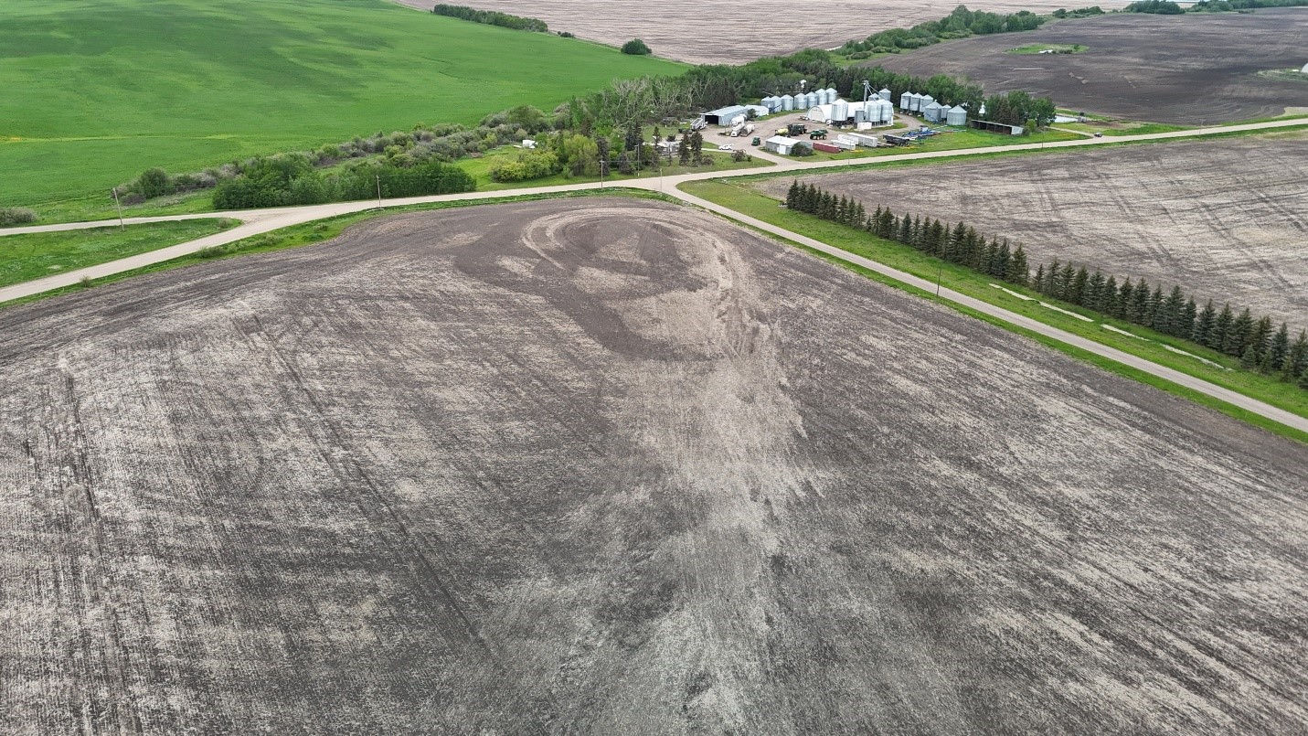 Edberg4_field.jpg