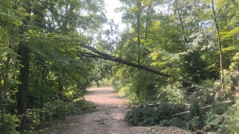 Damage photo