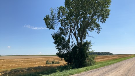 Damage photo