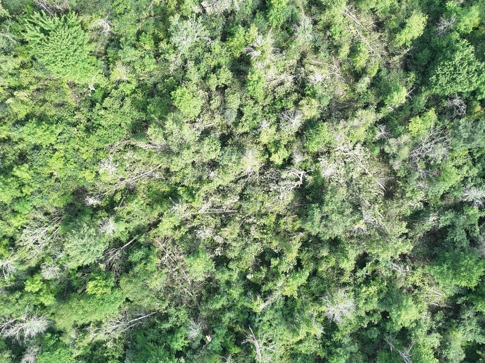 Damage photo
