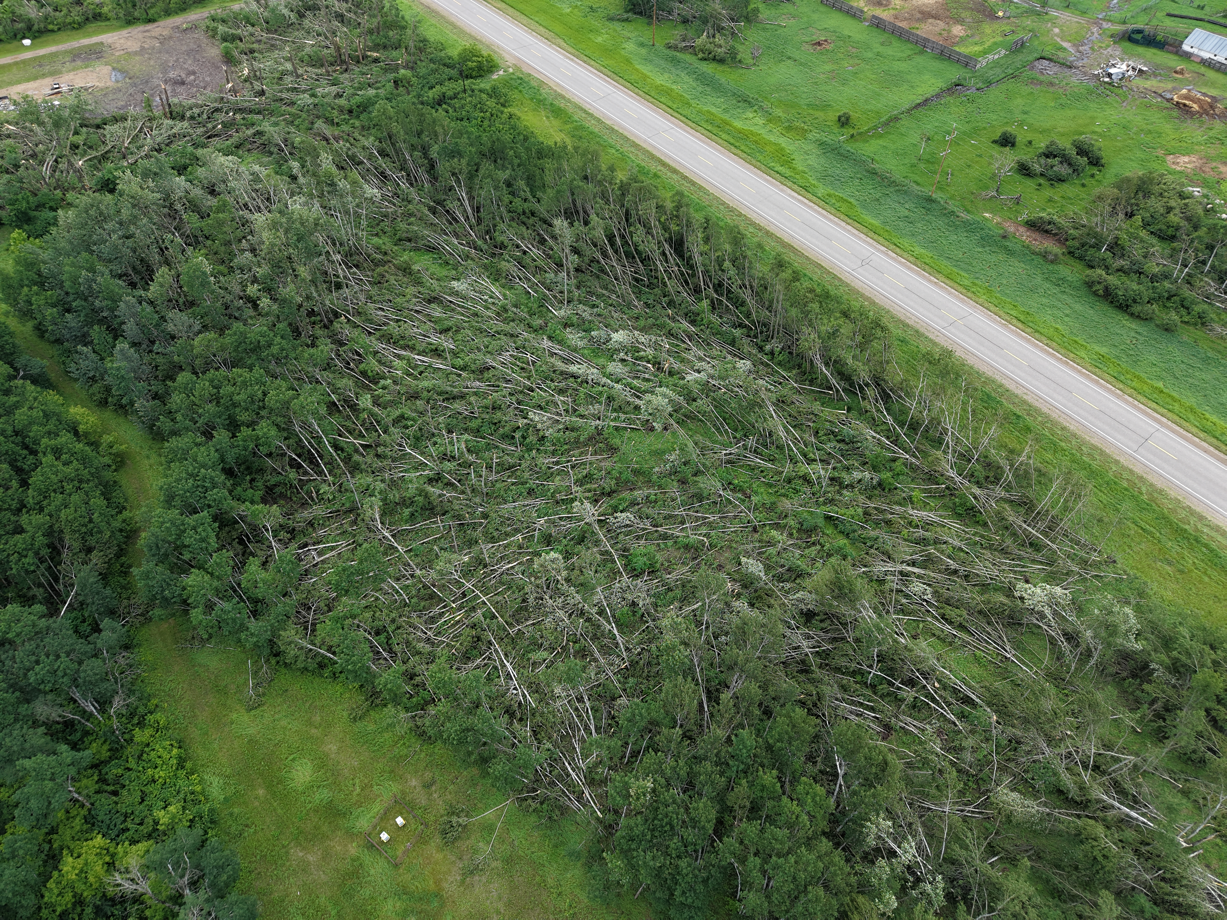Damage photo