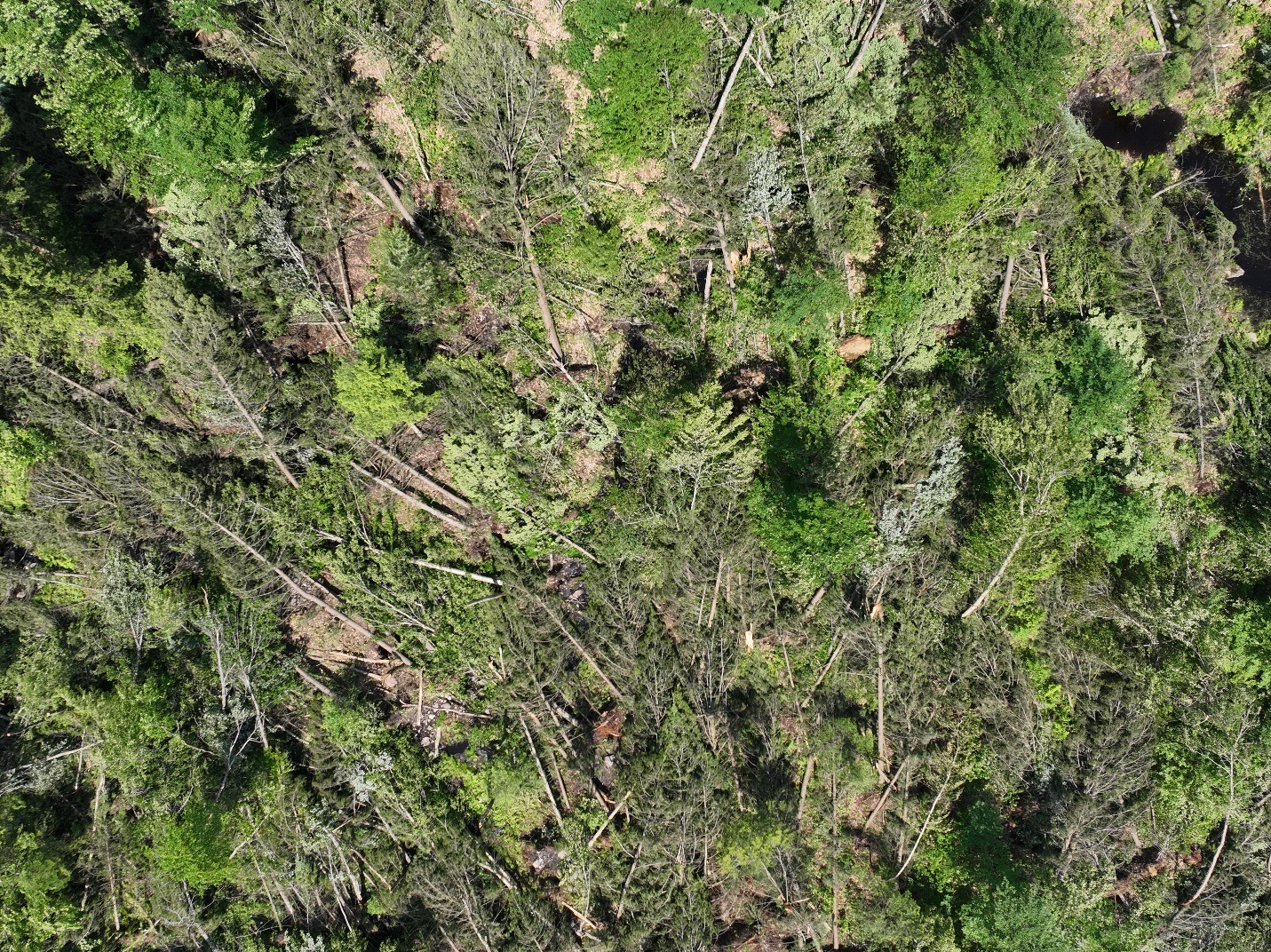 Damage photo