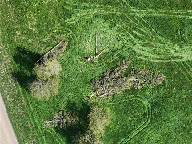 Drone image