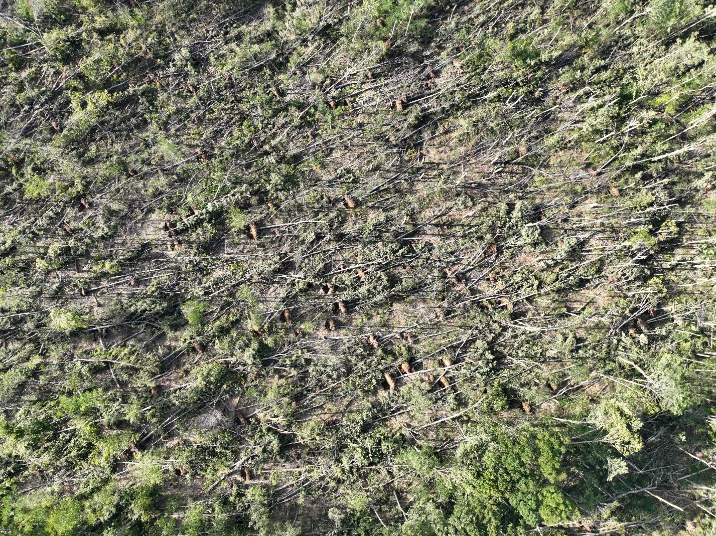 LesageQCdroneimage.jpg