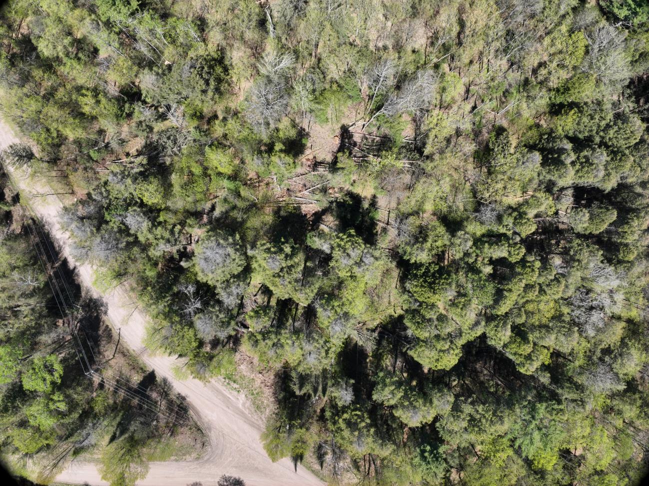 Damage photo