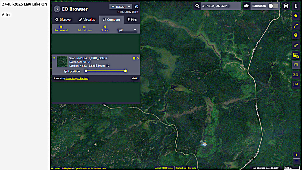 Satellite image