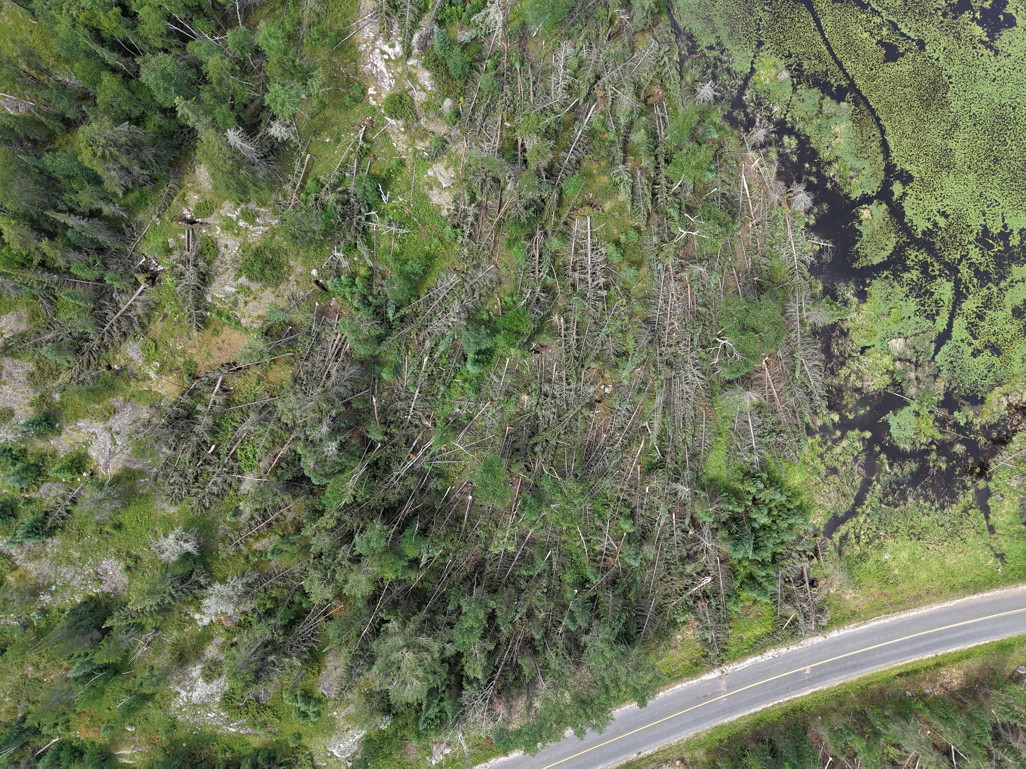 Damage photo