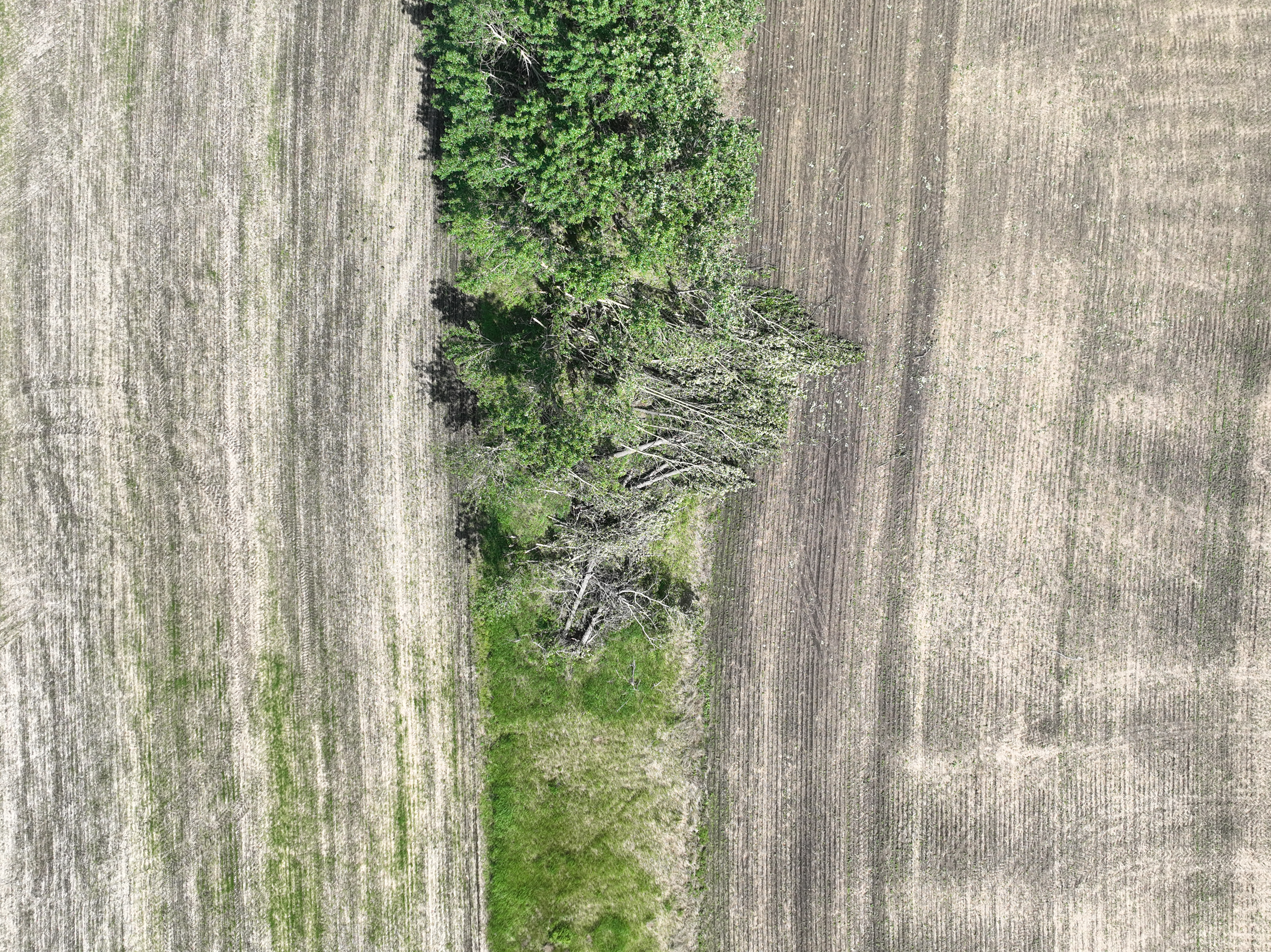 Damage photo