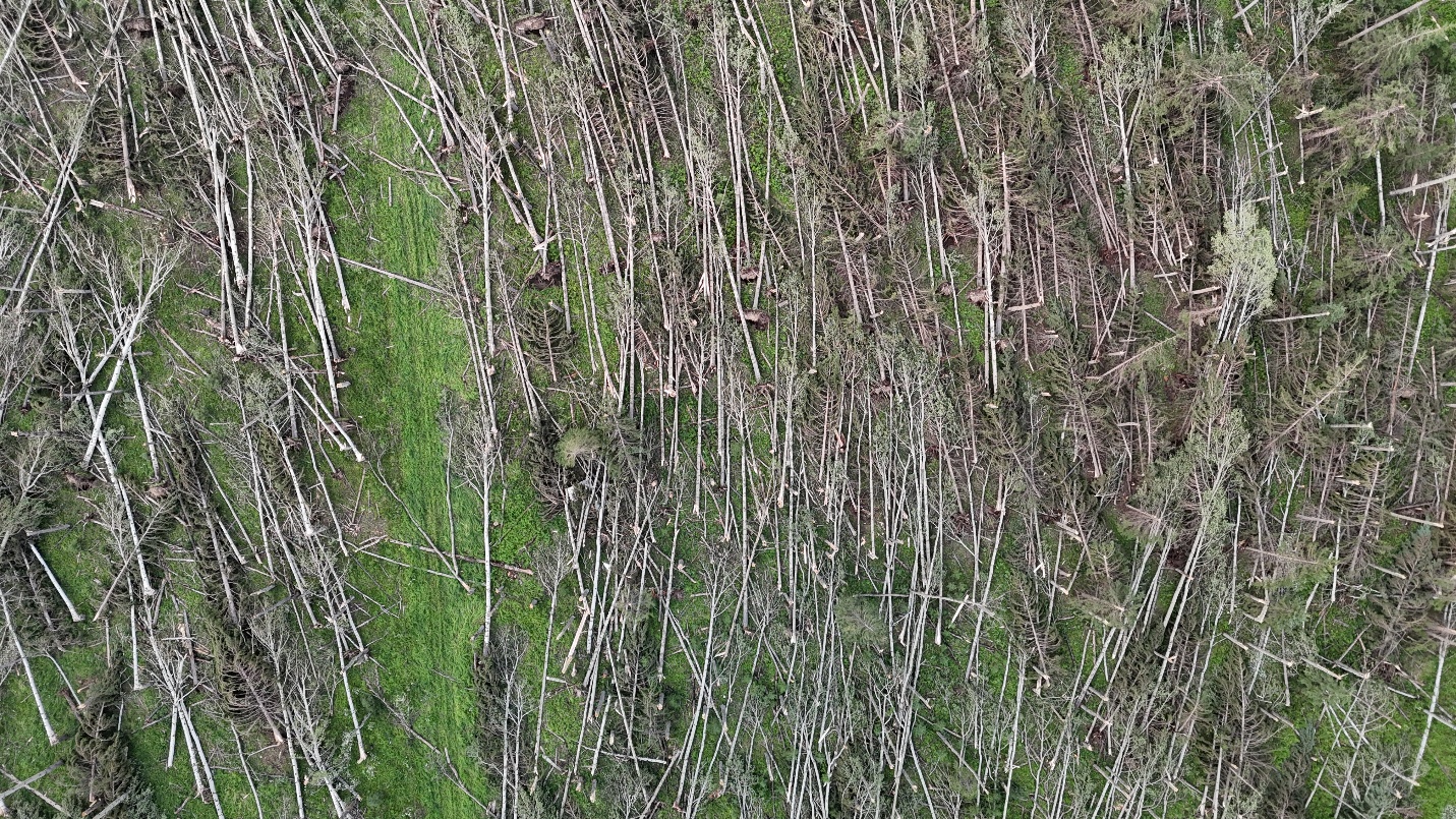 Damage photo