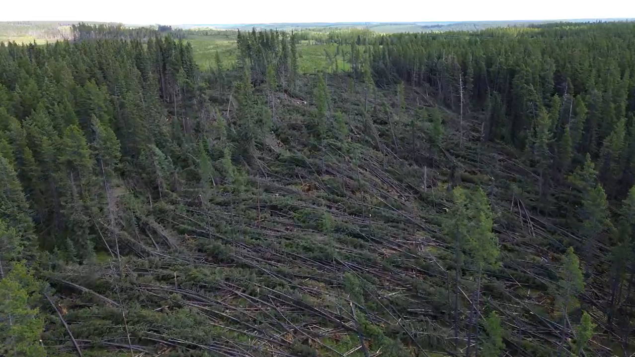tornado damage