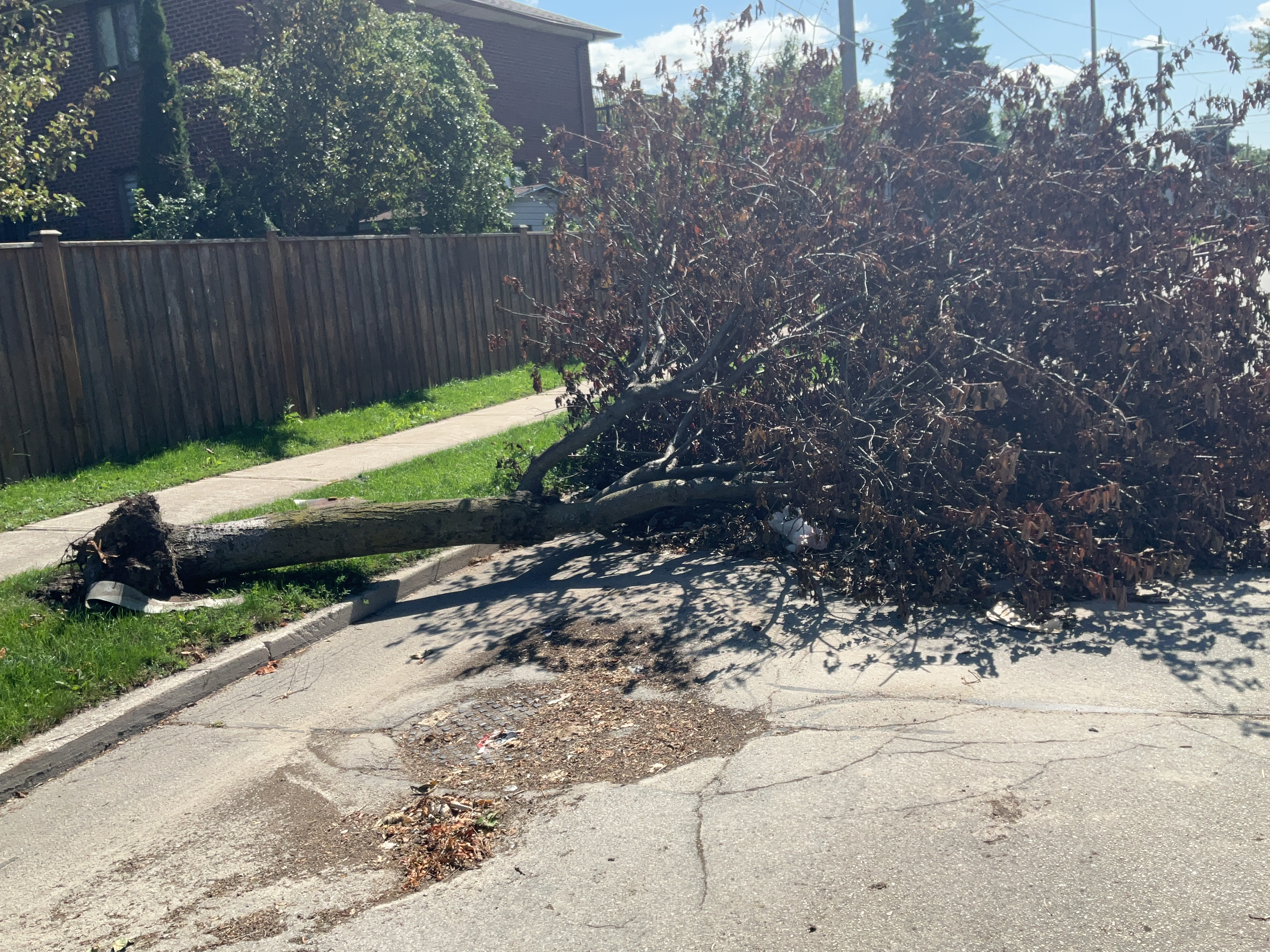 Damage photo