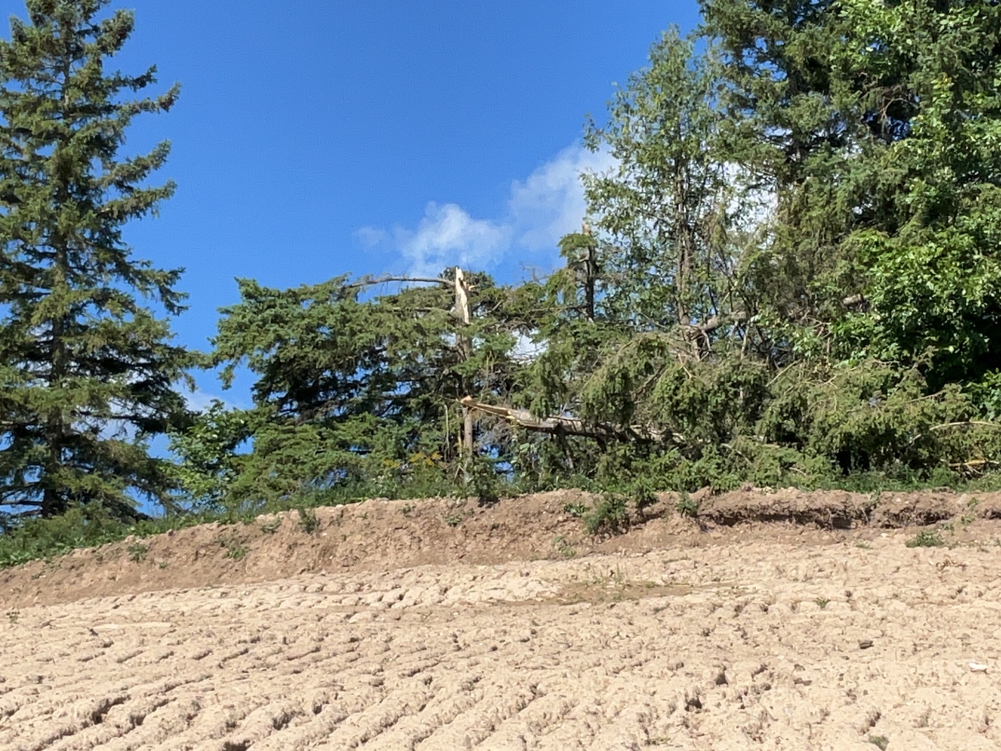 Survey photo