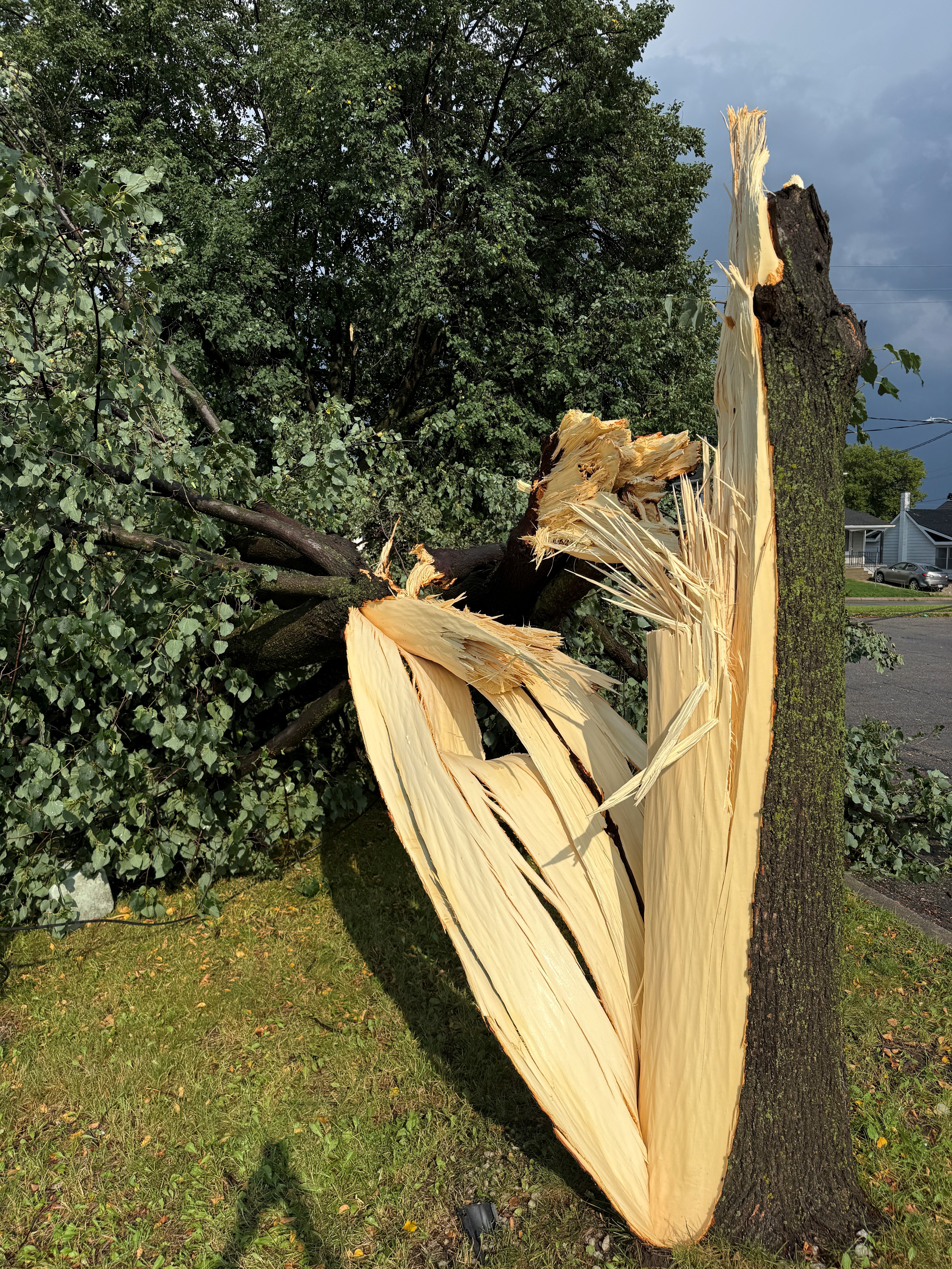 Damage photo