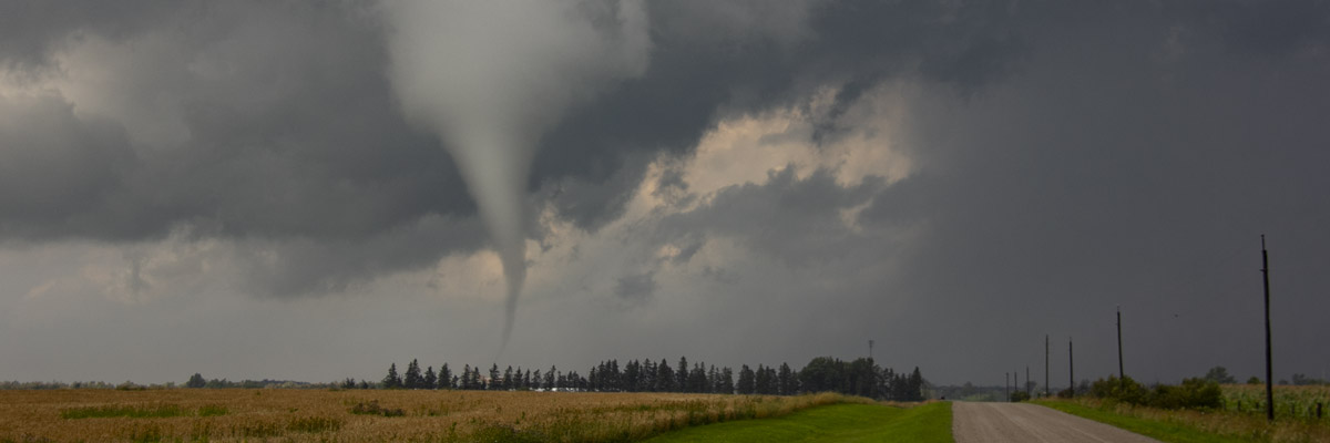 tornado in the field