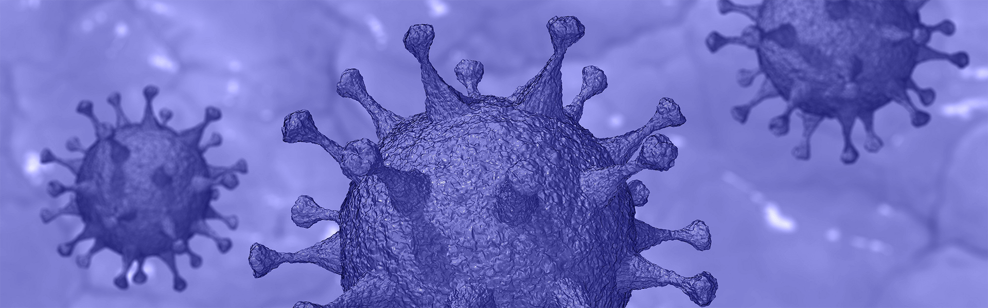 Western's page dedicated to updating actions around COVID-19