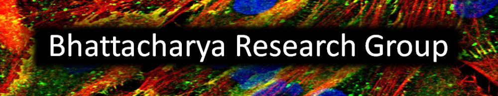 Welcome to the Bhattacharya Research Group
