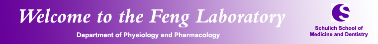 research_logo