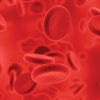 red blood cells