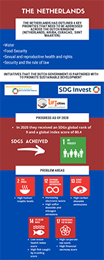 Preview image of an infographic related to international collaboraitons in the Netherlands.