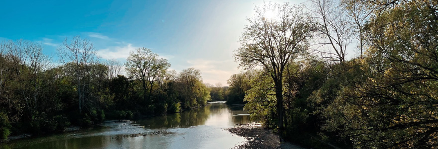 Decorative image of the Thames River in London Ontario, surrounded by trees and a blue sky.