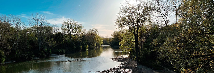 Sun shining through the trees along the bank of the Thames River in London, Ontario.