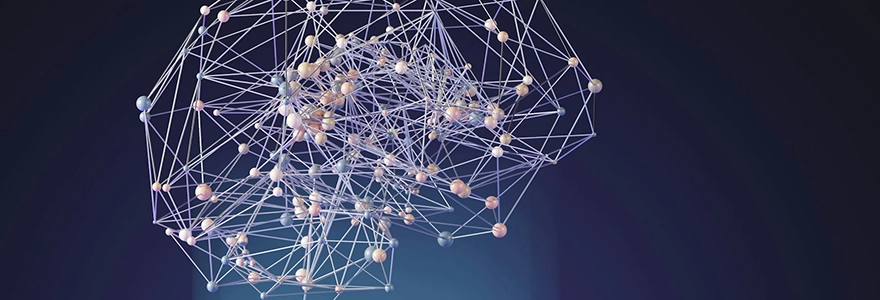 A network of nodes shaped like a brain