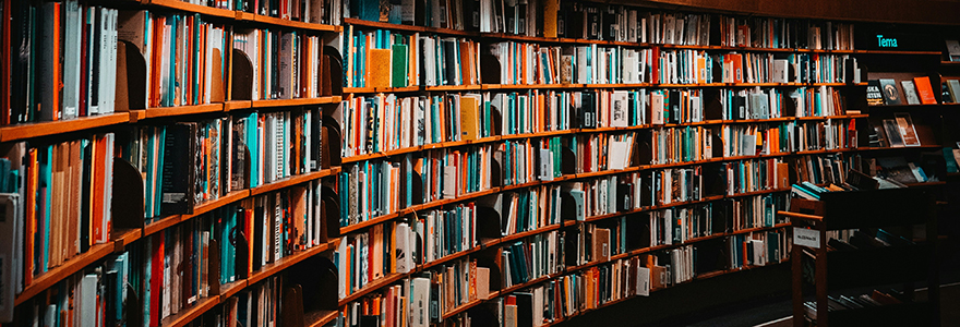 Library Shelves