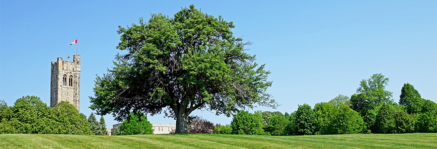 University College Hill in Spring
