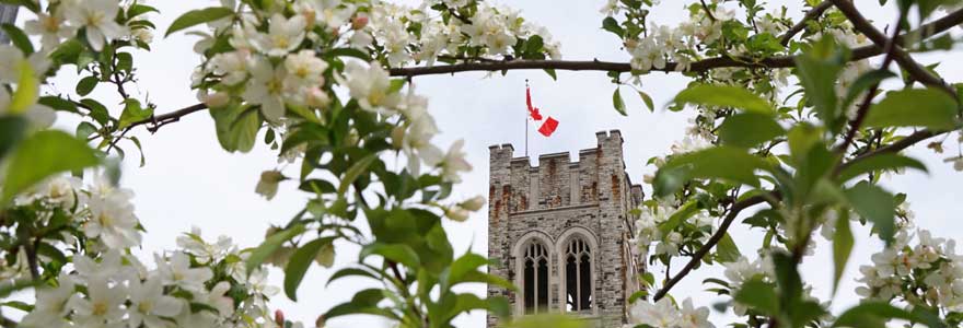 University College bordered by flower blossoms